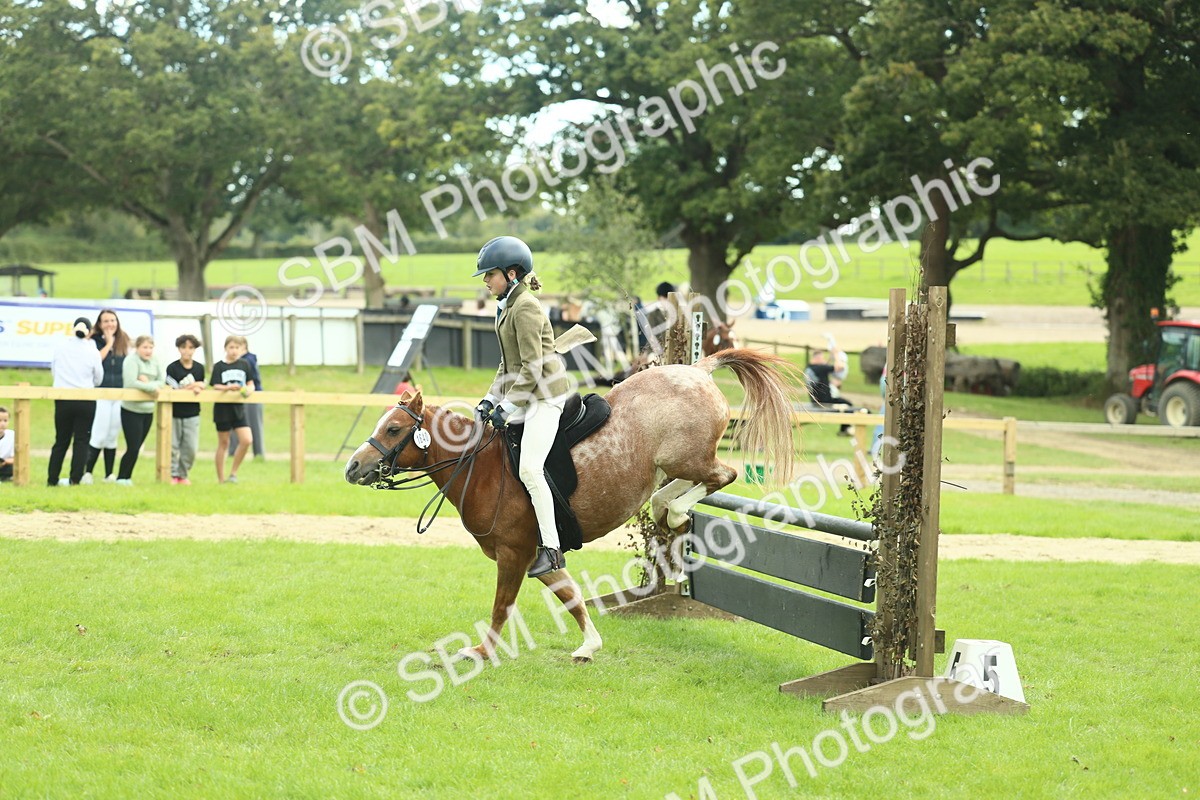 SBM_44680 - S31 - Working Hunter Pony
