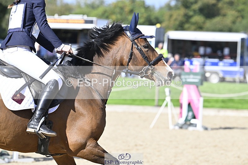 251005A-141359-04331 - Cls 09 Nov 80-85cm