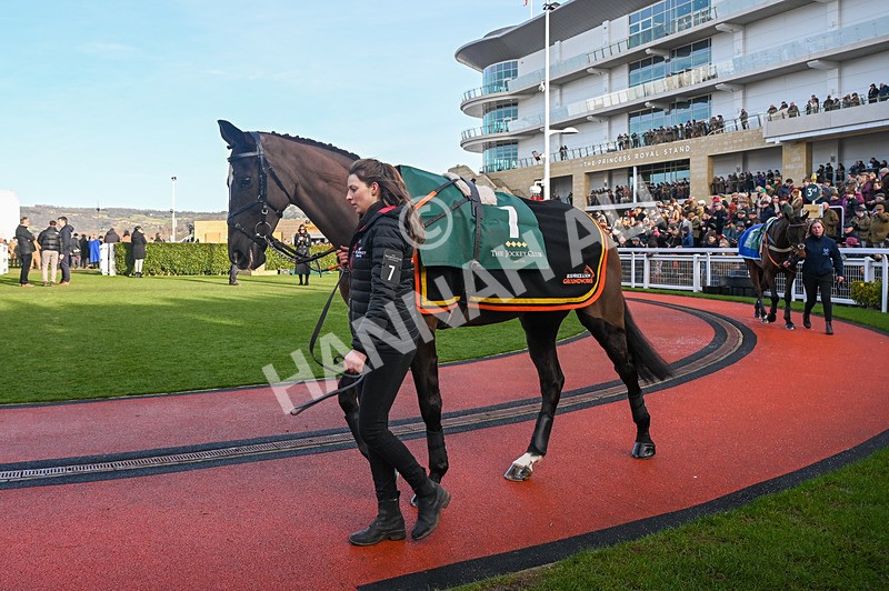 250125-Race 3-Happygolucky-3184 - Race 3