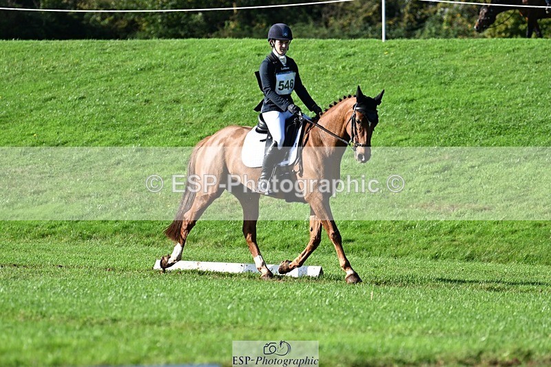 241025-112411-07134 - 546-Jennifer.Jaques-AURELIA.COOL