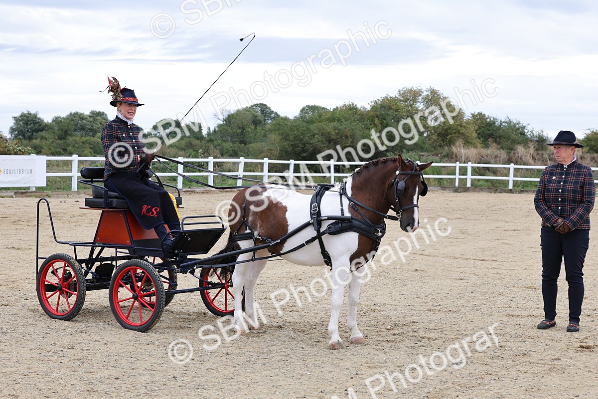SBM_000333 - Class 2 - Exercise Vehicle 13.2hh & Under