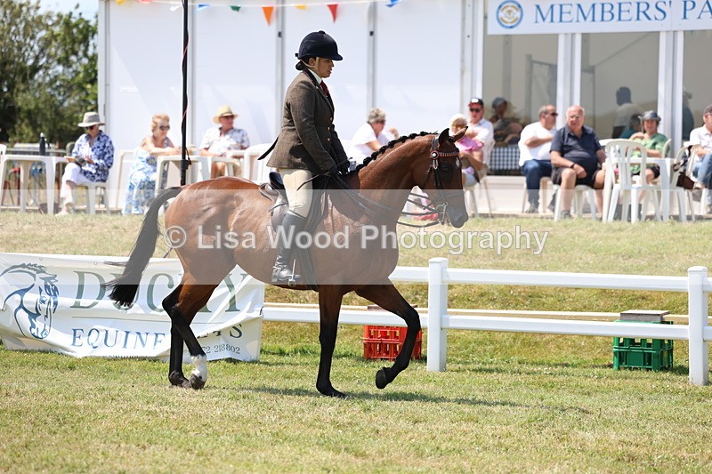 3E7A9291 - Class 12: Open Racehorse to Show Horse