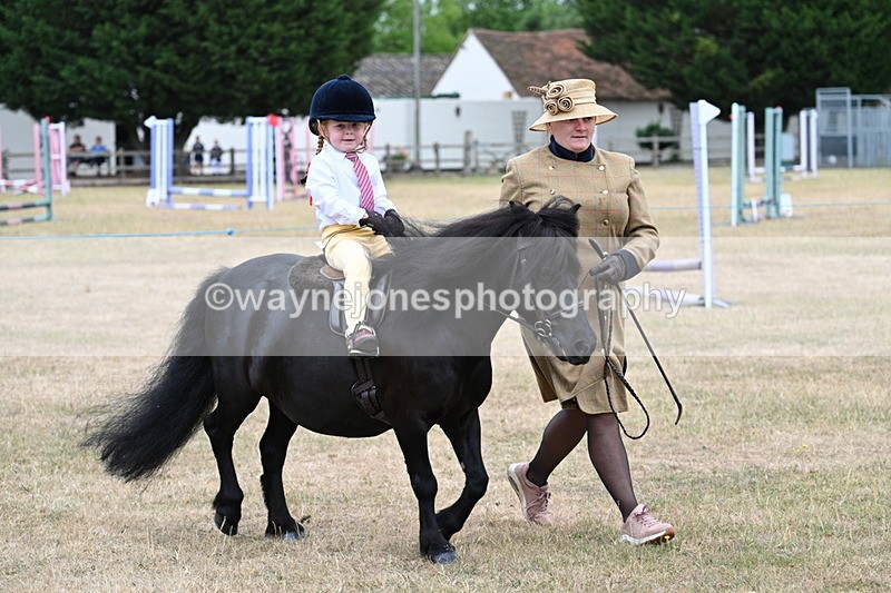 WJ7_8521 - Class 4 Prettiest Mare up to 14.2hh