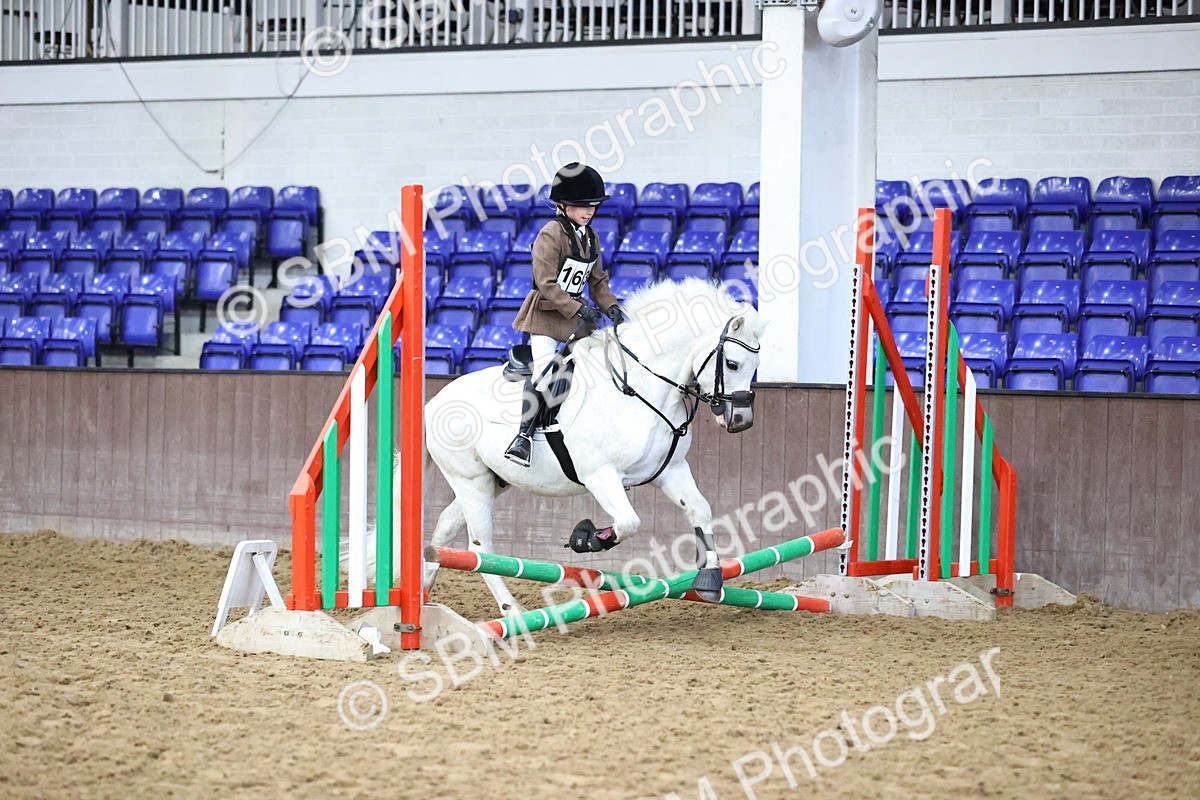 SBM_000274 - Class 2 - The Rug Lady 40cm Area 12 Championship Qualifier