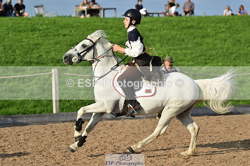 230902A-180516-02440 - Evening Ride and Run