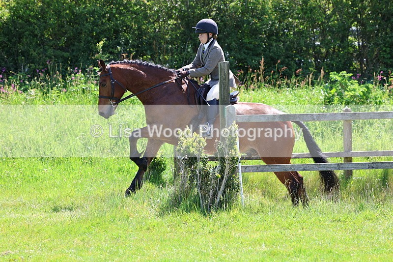 3E7A6964 - Class 30: Novice Working Hunter