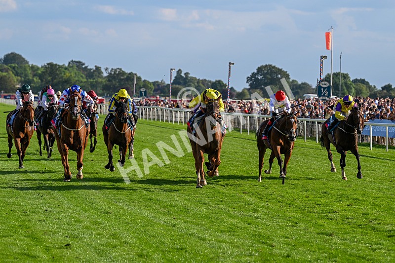 220826-Race 7-Raammee-1857 - Race 7 17.20pm Sky Bet Dav Reid Finale Handicap