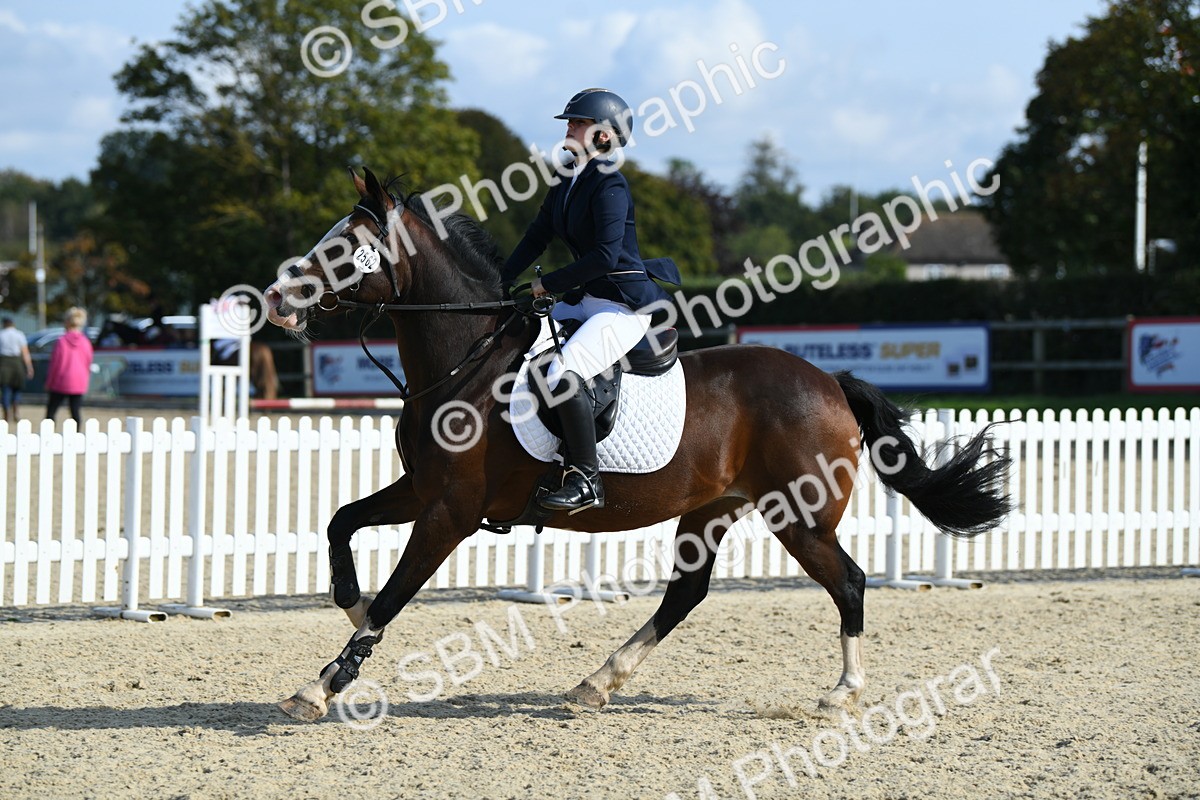 SBM_61687 - j25 - Junior Horse 80cm Championship