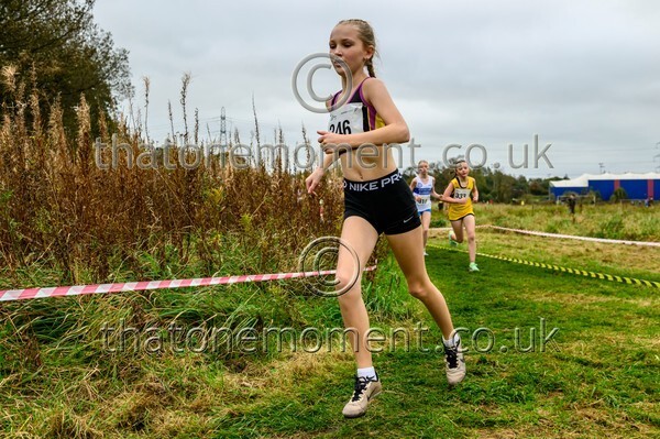 WestRLY25-811811 - Young Female Set One