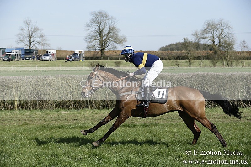 PtP 250317 114 - V.W.H. Hunt Point-to-Point Siddington 25/03/17