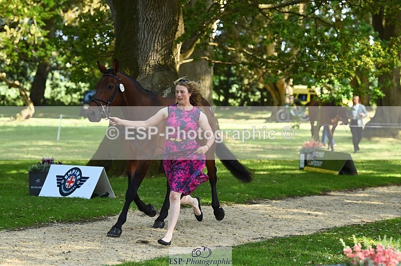 230524-162748-00885 - 151-GREANNANSTOWN_QUARRYMAN_GIRL-Grace_Taylor-WEDTrotUp+DR