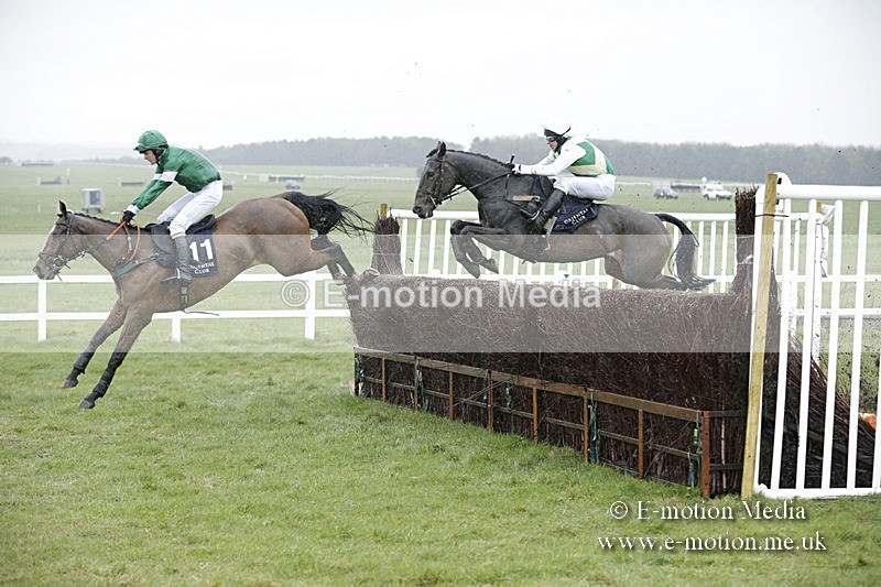 PtP 150320 0152 - New Forest Point-to-Point Larkhill 15/03/20