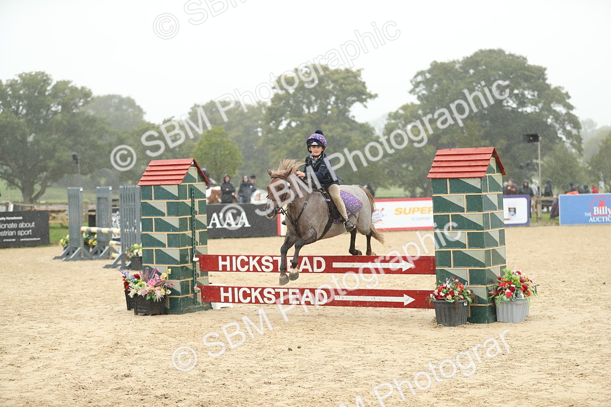 SBM_74040 - J16 - Junior Pony 75cm Championship