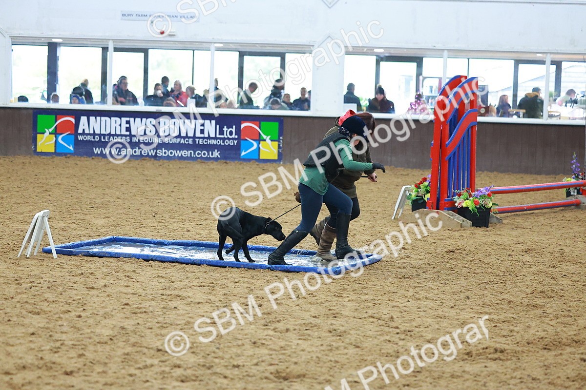SBM_002429 - Class 3 - Horse & Hound (60cm)