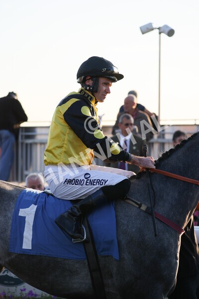 yr08102021r7-10 - Race 7 5.25pm The IRE Incentive, It Pays To Buy Irish Handicap