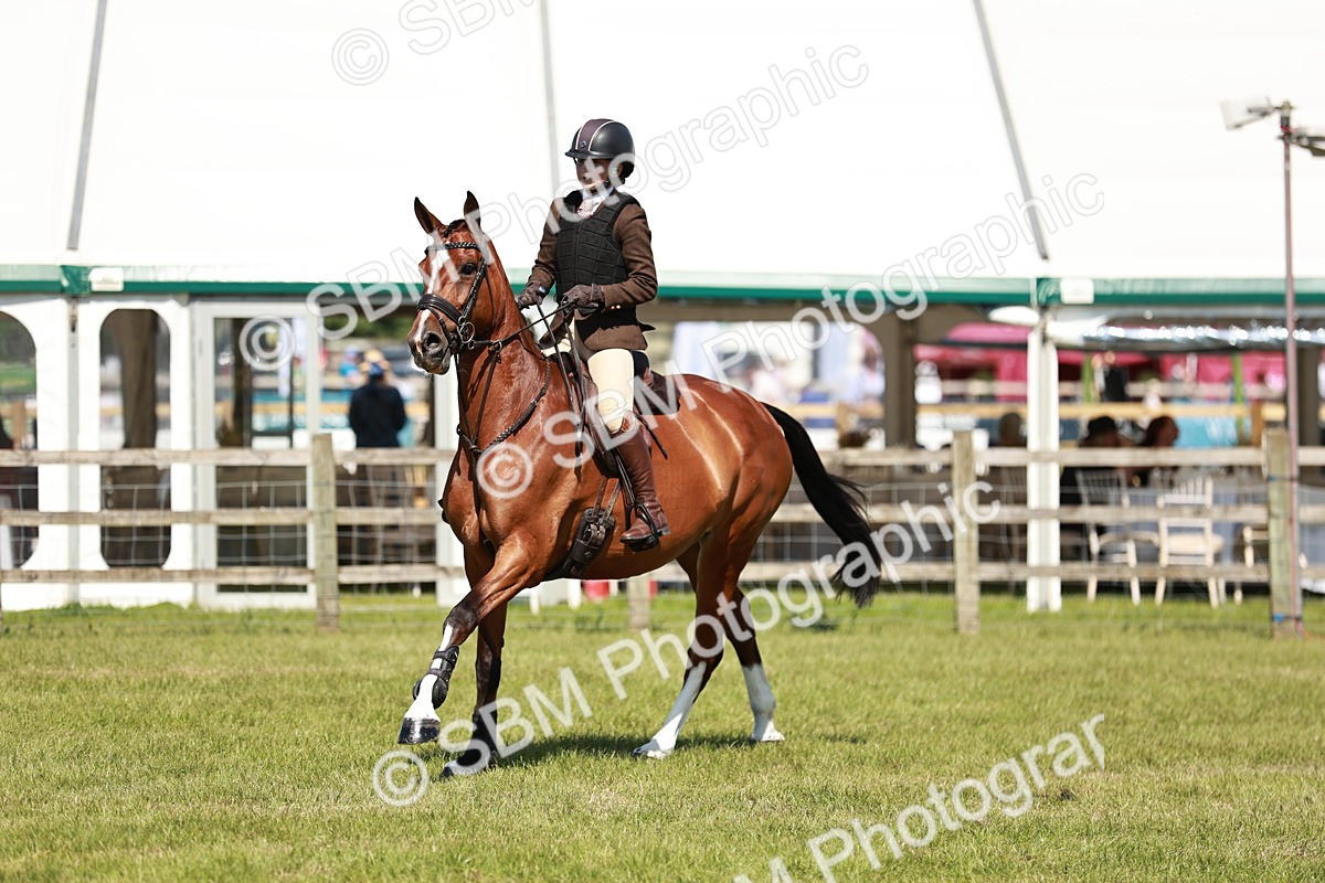 SBM_18327 - Class 112-113 - BSPS LIHS Working Sports Pony