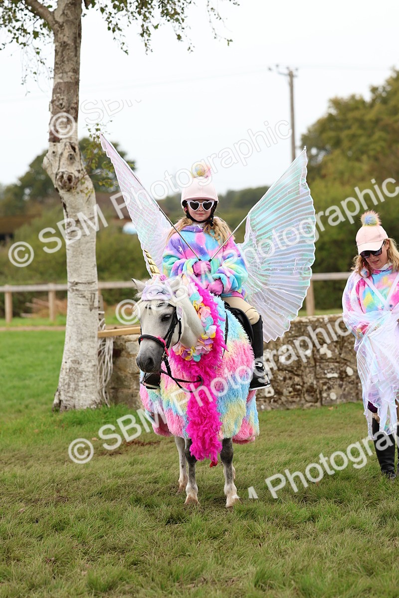 SBM_62163 - S37b - Best Unicorn