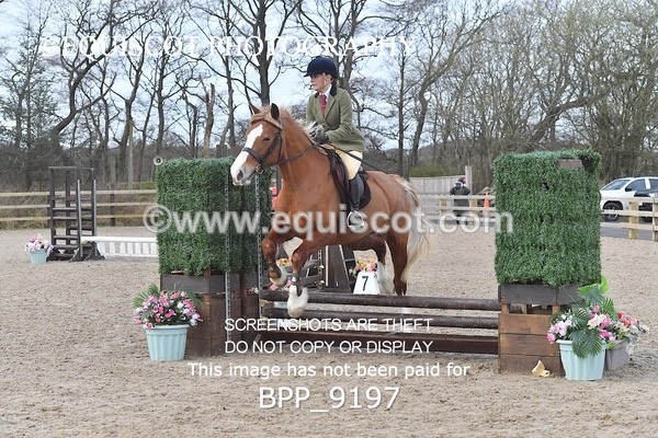 BPP_9197 - 50CM