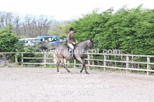 BPP_6963 - RING 1  (RIDDEN HORSES / IN HAND / VETERAN ETC)