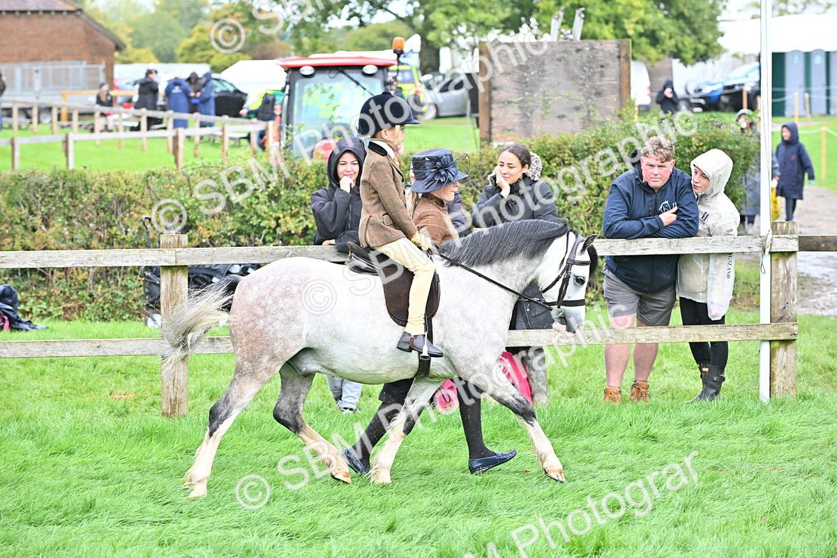 SBM_40123 - S20 - Lead Rein Mountain & Moorland Pony