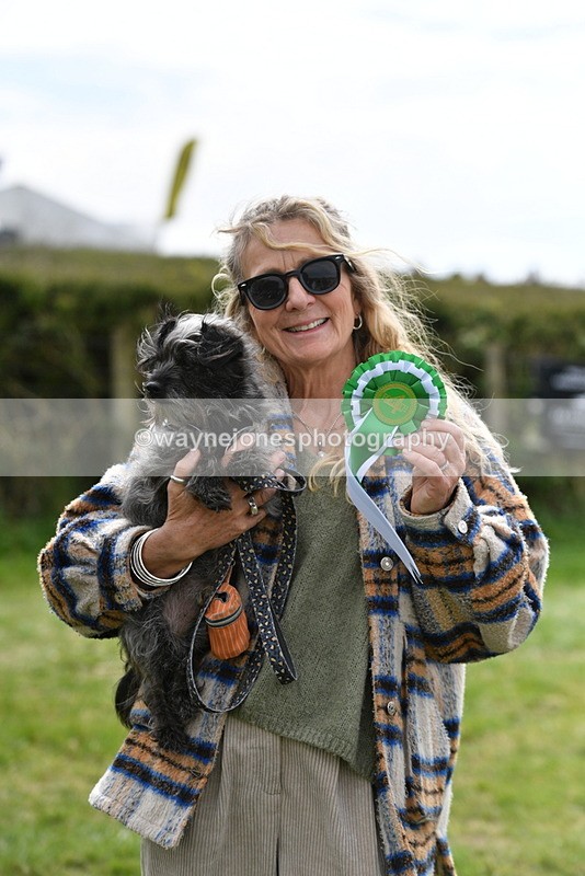 WJ5_9880 - Class 3 Most Handsome Dog