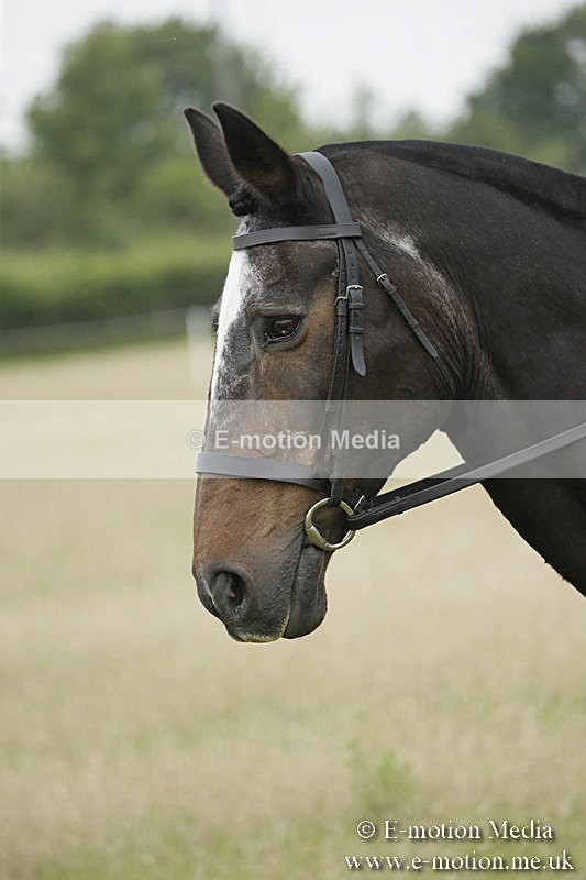 B230619-0286 - Bourne Valley Riding Club Summer Show 23/06/19