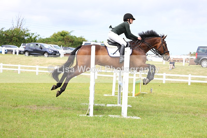 3E7A7502 - Class 13: Senior British Novice/90cm open