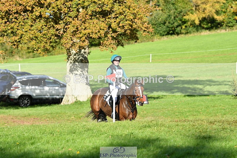 251025A-145126-21324 - G-525-Henrietta.Hack