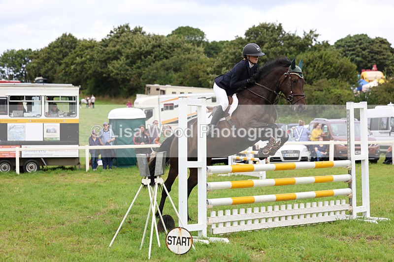 3E7A7032 - Class 5: Senior British Novice/90cm open