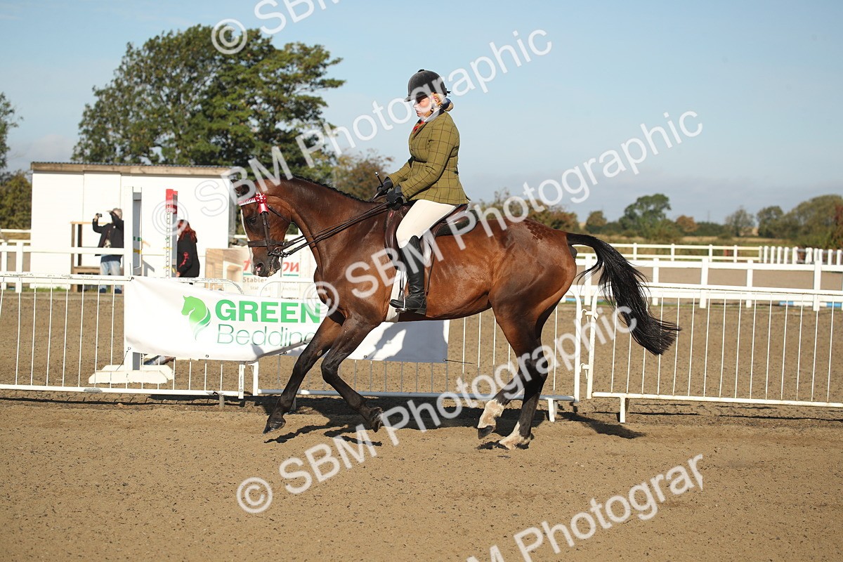 SBM_11315 - Class 501 -Riding Club Pony