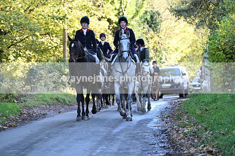 WJ7_8711 - Walk Home