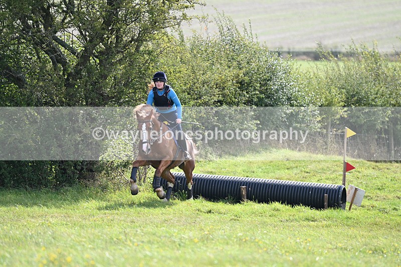 WJ6_7497 - Time 11:29 to 11:45