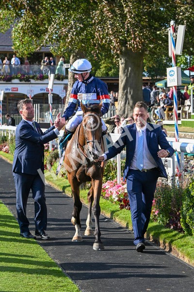 240824-Race 7-Sir Busker-2070 - Race 7 5.20pm Sky Bet Finale Handicap