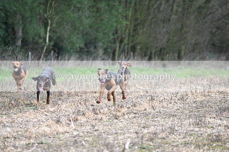 WJ6_9426 - Line Four