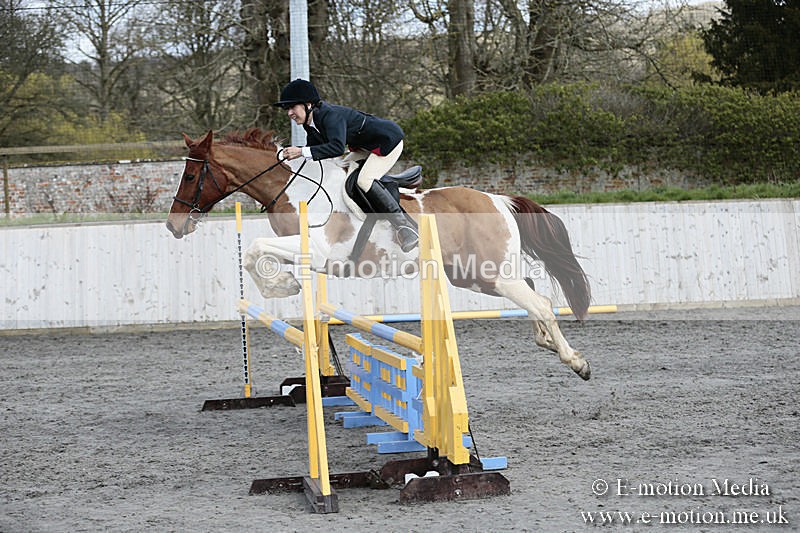 BVRC SJ 170319 667 - Bourne Valley Riding Club Showjumping 17/03/19