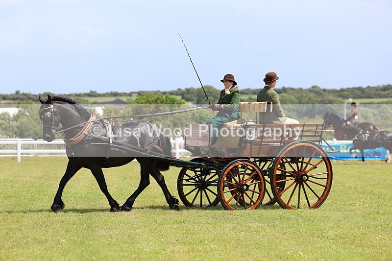 3E7A2726 - Class 12: Open Driving