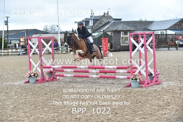 BPP_1022 - CLASS 1 Club/ Unaffiliated 60cms Open