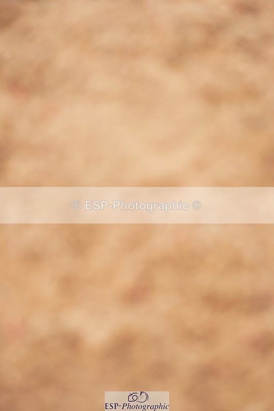 240526A-121542-08012 - Cls 26 Chard Equ 1.05m and 1.10m Grand Prix