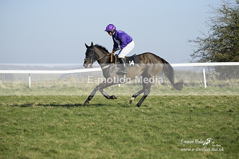 PtP 270222 293 - South & West Wilts Point-to-Point Larkhill 27/02/22