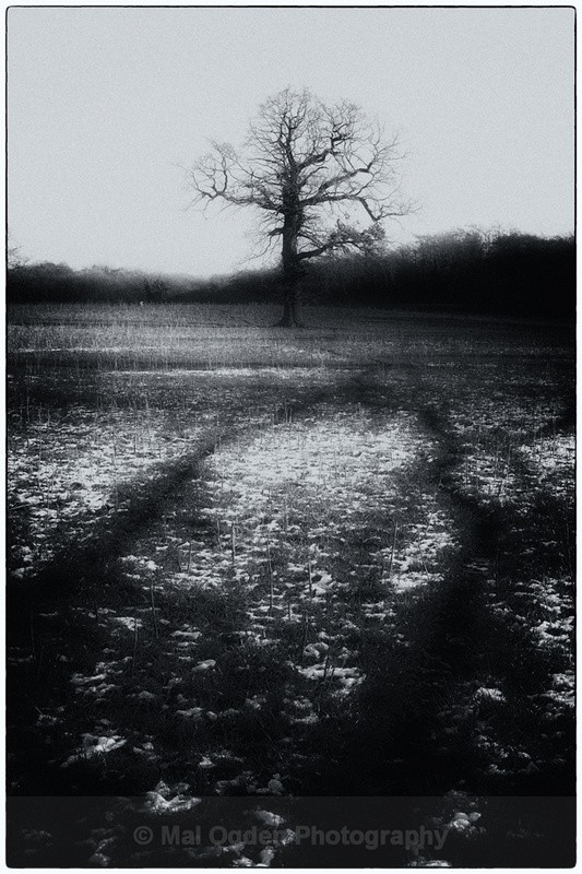 Making tracks - Black & White/Monochrome