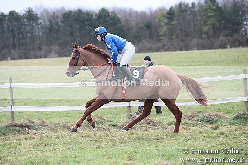 PtP 230119 198 - Royal Artillery Point-to-Point  - Larkhill  - 26/01/19
