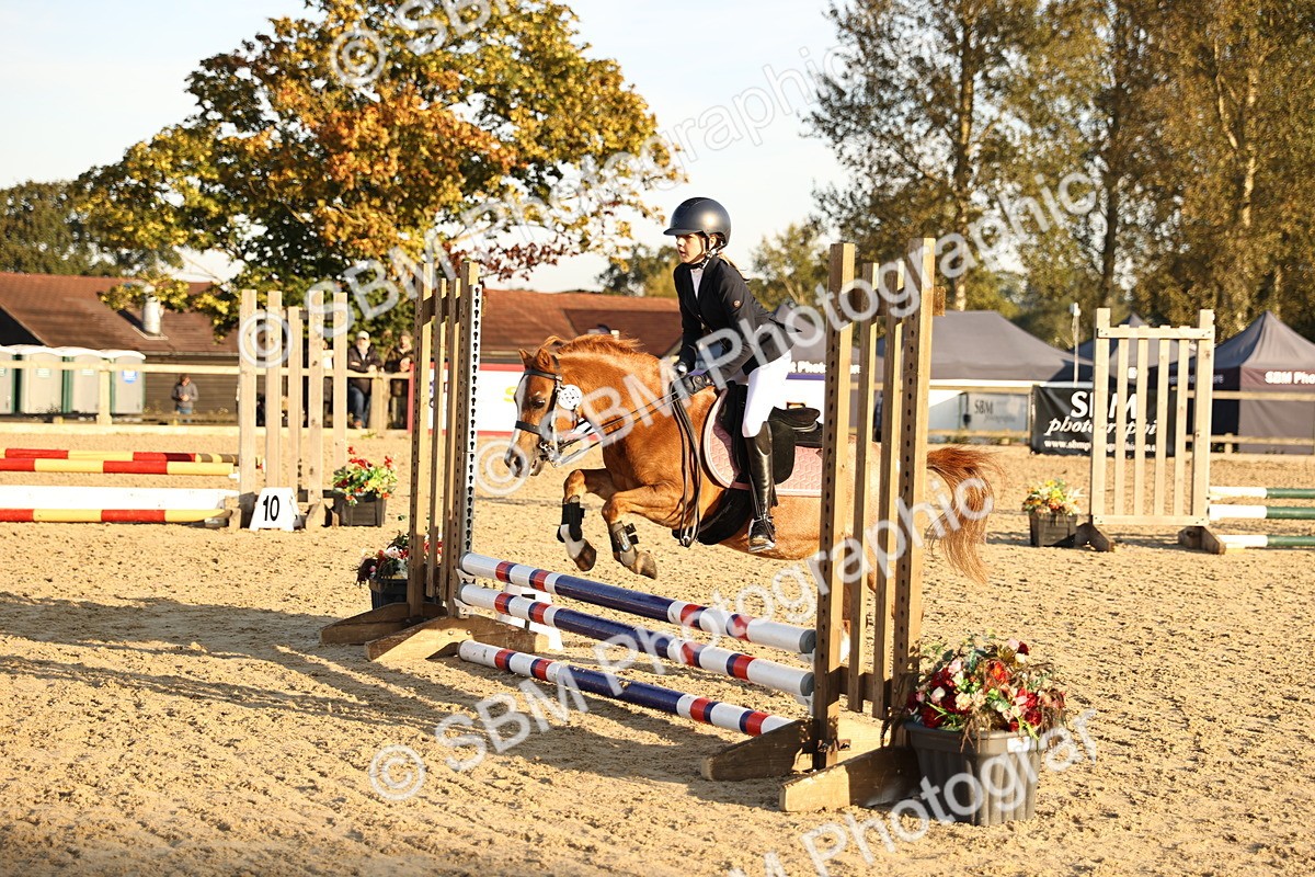 SBM_57156 - J11 - Junior Pony 50cm Championship