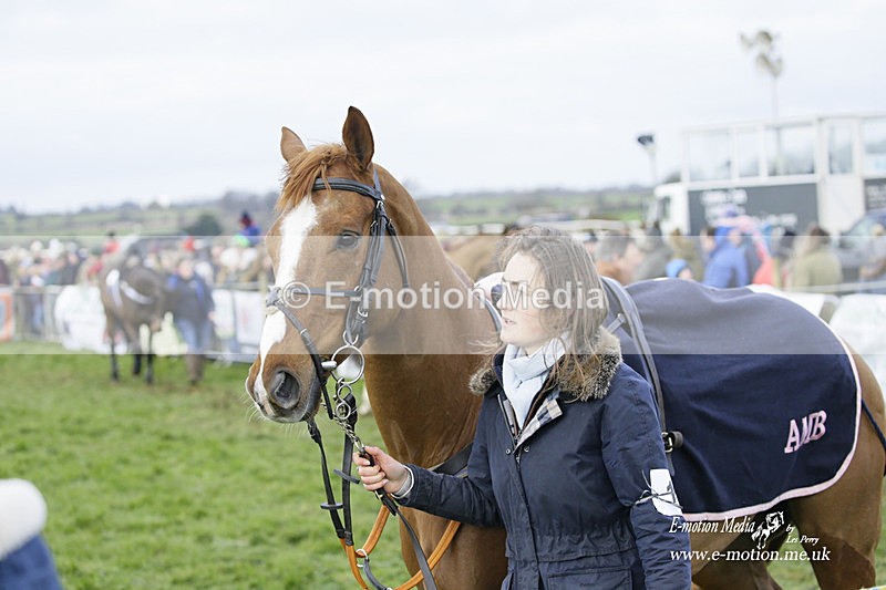 PtP 060322 334 - Blackmore & Sparkford Vale Hunt PtP 06/03/22