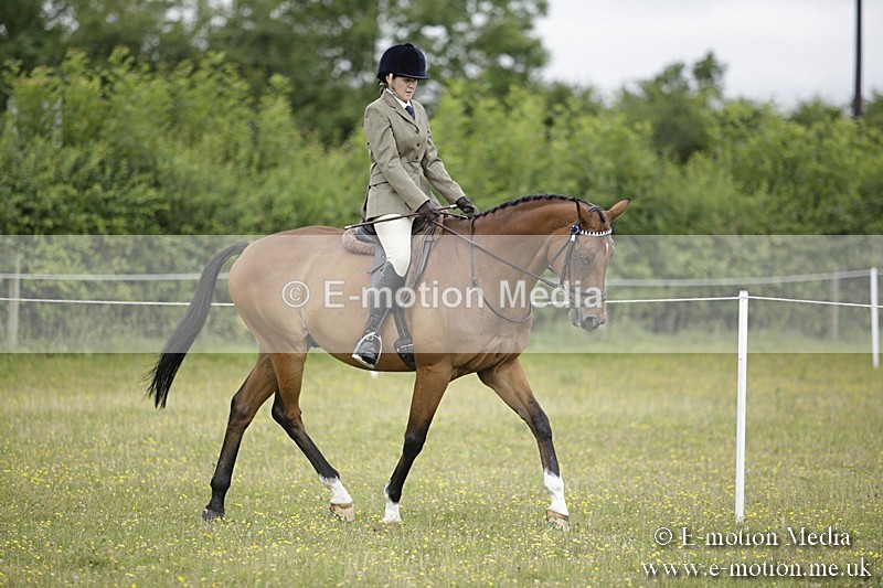 BVR160717-444 - Ring 1 BVRC Show 16/07/17