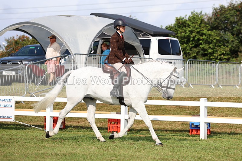 3E7A8479 - Class 3: Rising Star S/L Hunter