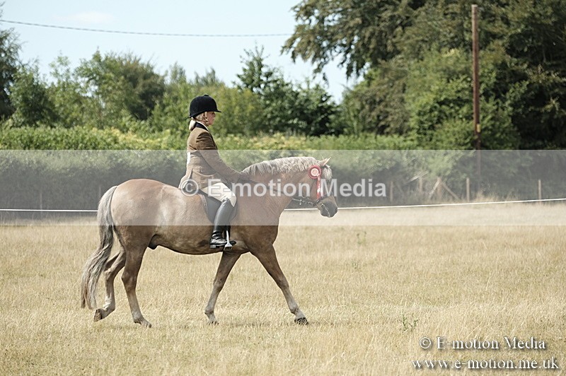 _PJP6101 - Ridden Championship BVRC Show 2018