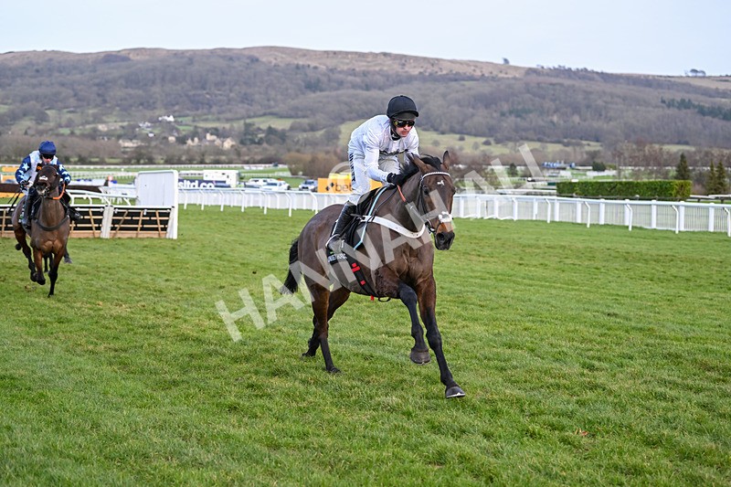 250125-Race 5-Constitution Hill-4729 - Race 5