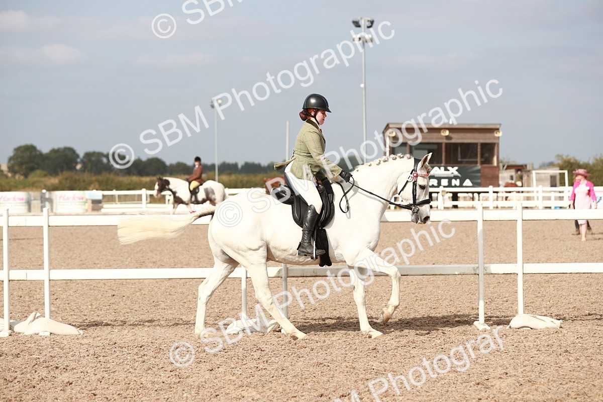 SBM_17482 - Class 215 Ridden Hack/ Riding Horse