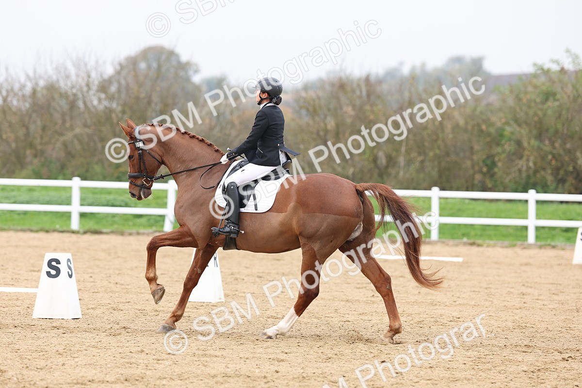 SBM_008428 - Class 11 - Medium 5