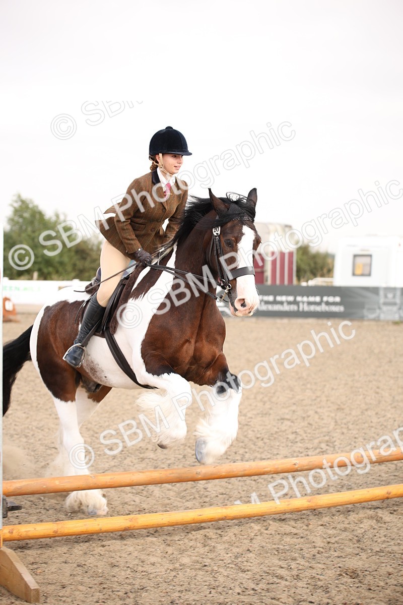 SBM_11675 - Class 404b Junior Working Veteran- 40cm(20+)